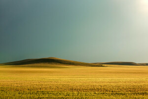 bidang, rumput, bukit, sinar matahari, matahari