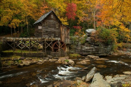 秋, 森林, 家, 小屋, 川, 木, 水