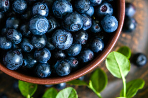 buah beri, bluberi, blueberry, mangkuk, segar