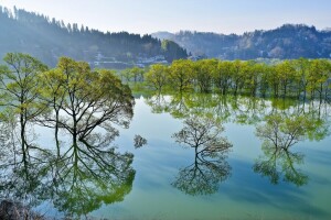 Iide, มันชิราคาวะ, ประเทศญี่ปุ่น, ทะเลสาป, ทะเลสาบชิราคาวะ, การสะท้อนกลับ, Iida, ต้นไม้