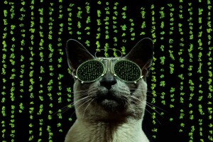 kucing, kacamata, matriks, gaya