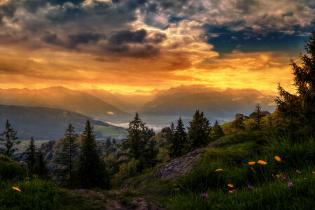 những đám mây, những bông hoa, phát sáng, cỏ, Nhà, núi, Hoàng hôn, Thụy sĩ