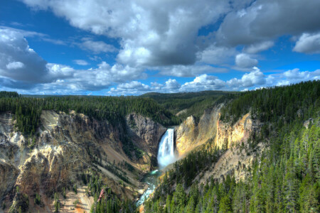 峡谷, 森林, 景观, 国家公园, 自然, 岩石, 美国, 瀑布