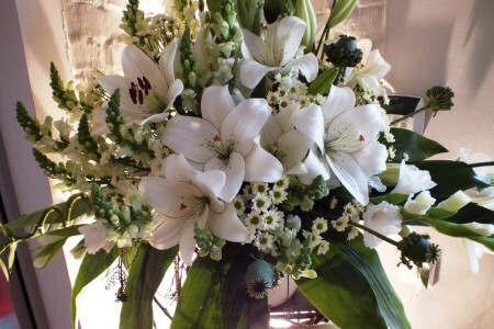 buket, Krisan, bunga-bunga, gladiol, Bunga bakung, foto, putih