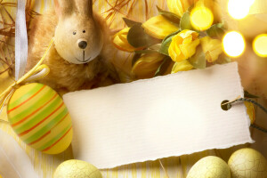 โบเก้, บัตร, อีสเตอร์, ไข่, รูป, ดอกไม้, กระต่าย, วันหยุด