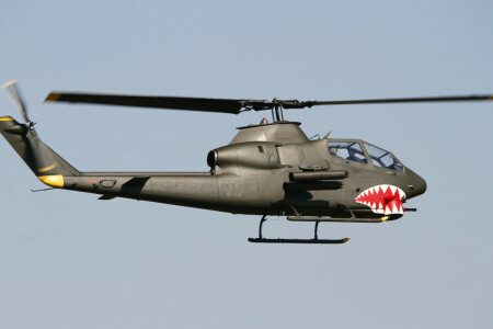 ベル, コブラ, フライト, ヘリコプター, TAH-1P
