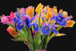 buket, bunga-bunga, iris, baris, cat, Bunga tulp