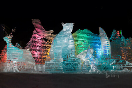 warna, patung es, Jepang, cahaya, malam, Sapporo, Festival Musim Dingin