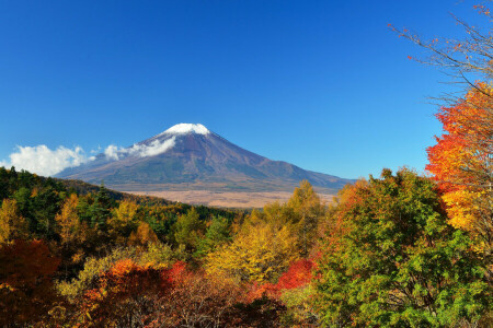 ฤดูใบไม้ร่วง, ประเทศญี่ปุ่น, ใบไม้, ภูเขาฟูจิ, ท้องฟ้า, ต้นไม้