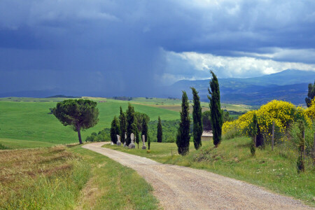 雲, ファーム, フィールド, フラワーズ, イタリア, 雨, 道路, 田舎