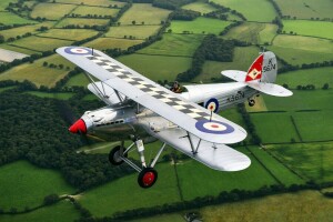 1931, Biplane, Đấu sĩ, Hawker Fury, RAF