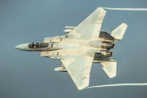 鷲, F-15C, 戦士, 空