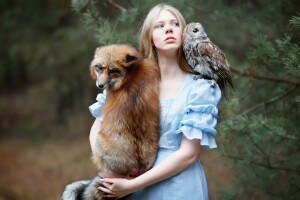 鸟, 狐狸, 朋友们, 女孩, 朱莉娅·科瓦尔斯卡（Julia Kowalska）, 猫头鹰, 红色