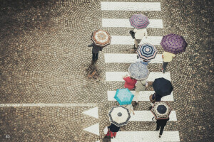 lối băng qua đường, Mọi người, đường phố, ô dù, đi dạo