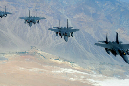 "독수리", 독수리, F-15, 파이터, 비행