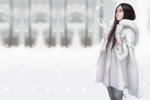 nghệ thuật, áo choàng ngoài, Maou Renjishi, tâm trạng, tuyết, mùa đông