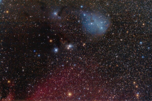 IC 447, 在星座中, 星云, 反光的, 独角兽