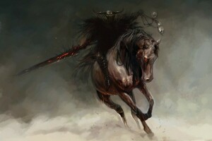 lý lịch, bóng tối, ngọn lửa, mũ sắt của lính, con ngựa, kỵ sĩ của ngày tận thế, đầu lâu, thanh kiếm