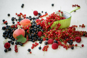 quả mơ, quả mọng, đen, cây phúc bồn tử, món ăn, trái cây, dâu rừng, màu đỏ