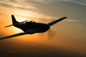 Đấu sĩ, chuyến bay, Mustang, P-51