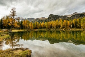 秋季, 森林, 湖, 自然, 反射