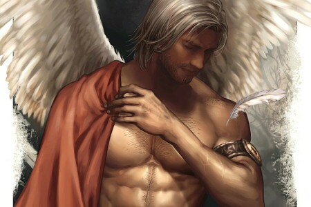 天使, 小说, 男, 躯干, 白色的头发, 翅膀