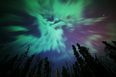 aurora borealis, alam, Cahaya utara, bintang