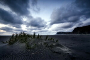 黒い砂, カレカレビーチ, 最後の光, ニュージーランド