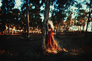 分行, 火, 女孩, 头发, 树叶, 红色礼服, 太阳, 树木