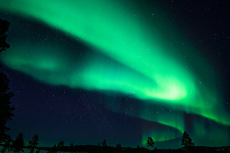 芬兰, 晚, 北极光, 星星, 天空