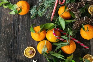 hari Natal, dekorasi, pohon cemara, cabang pohon cemara, buah, jeruk mandarin, Gembira, Tahun baru