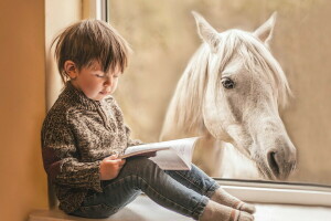 书, 男孩, 马, 窗口