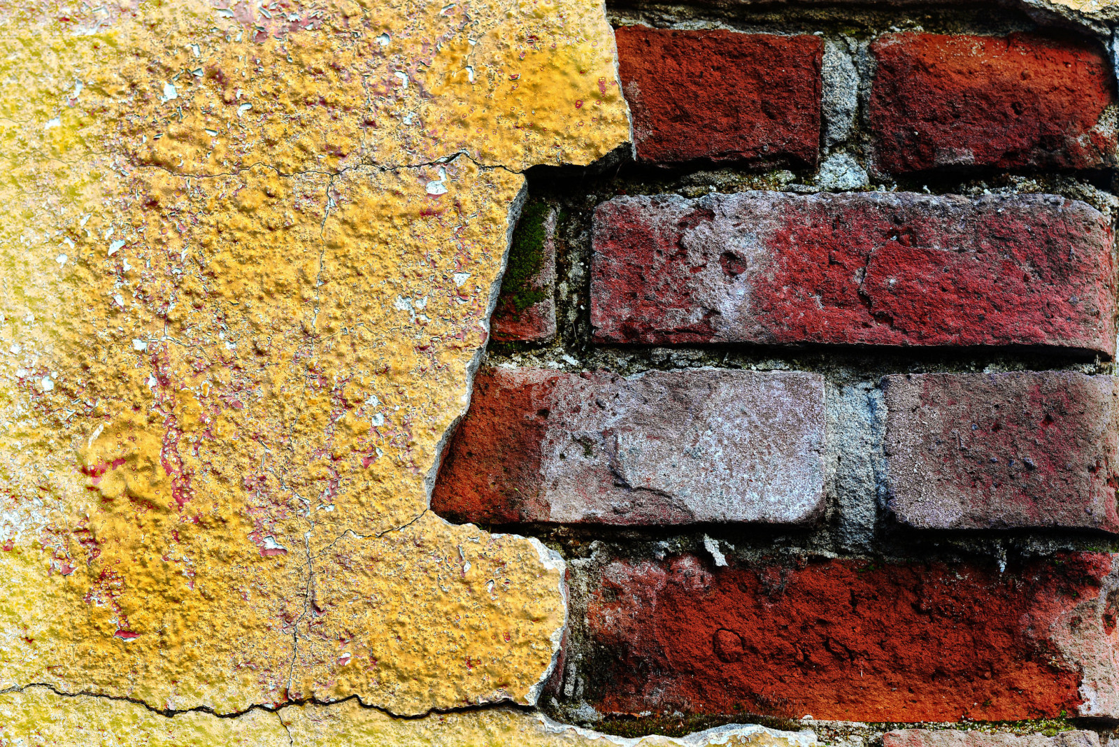 dinding, batu bata, tekstur, warna