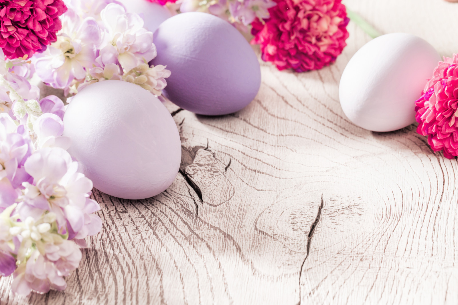 dekorasi, telur, senang, bunga-bunga, musim semi, Paskah