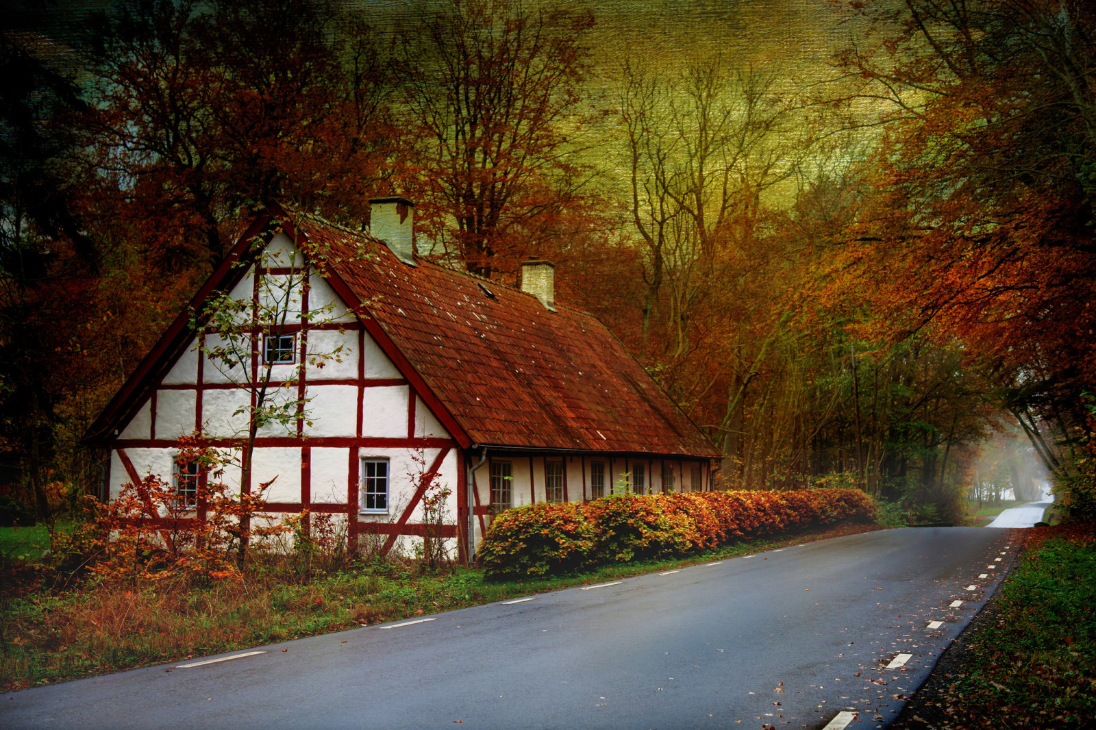 musim gugur, rumah, jalan, pohon, kanvas
