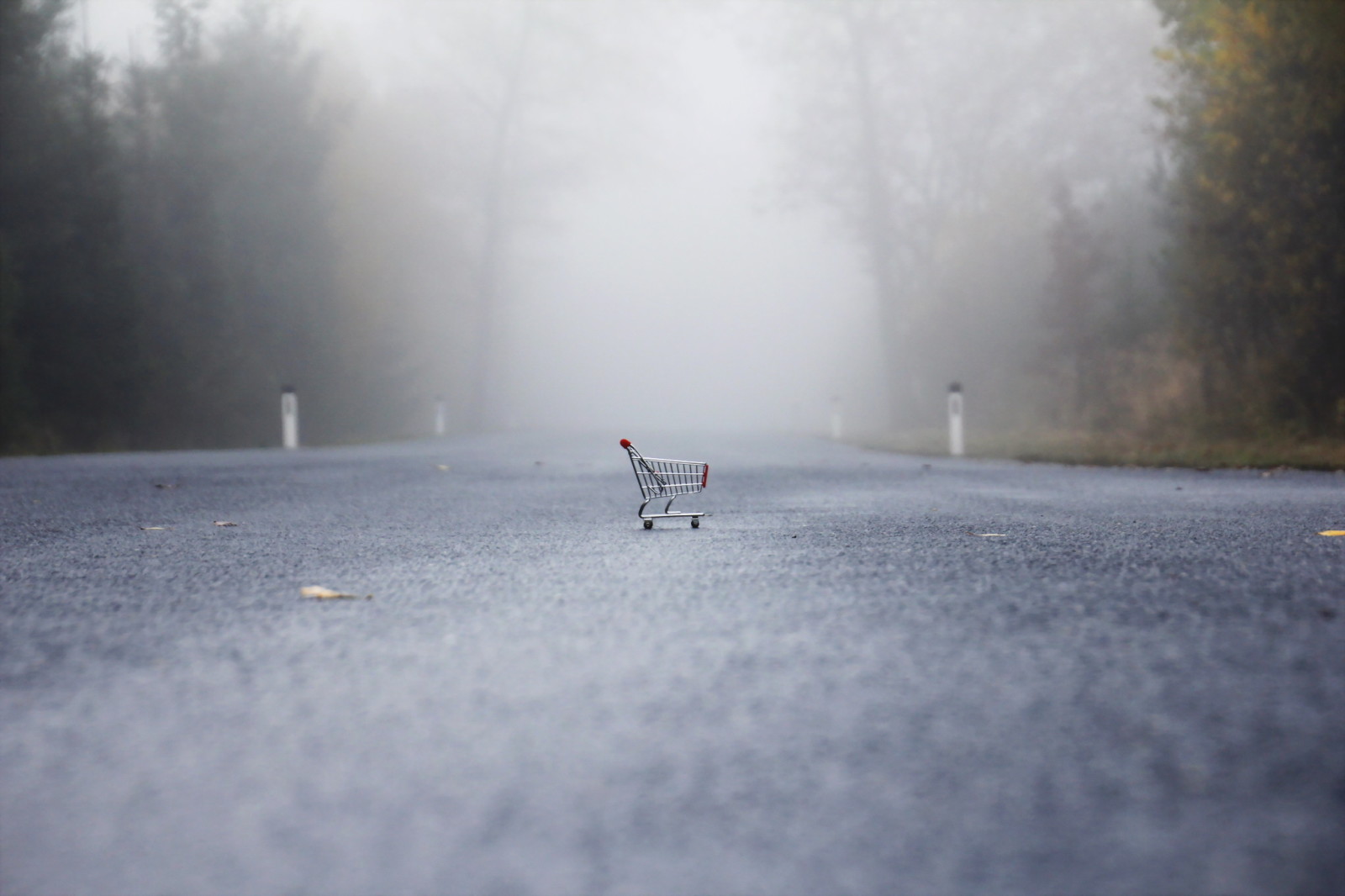 đường, sương mù, xe đẩy