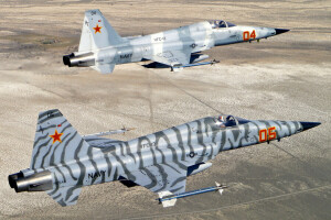 "자유의 전사", 전투기, 비행, 다목적, 노스 롭 F-5, 타이거 II