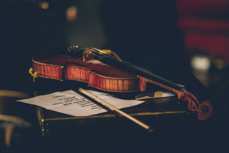 음악, 바이올린