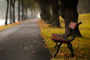 秋のベンチ, 通り, 都市