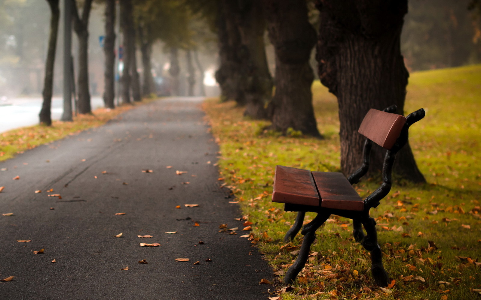 都市, 通り, 秋のベンチ