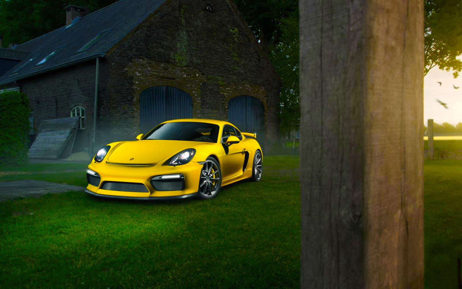 cỏ, mùa hè, siêu xe, màu vàng, màu sắc, Porsche, Trước mặt, GT4