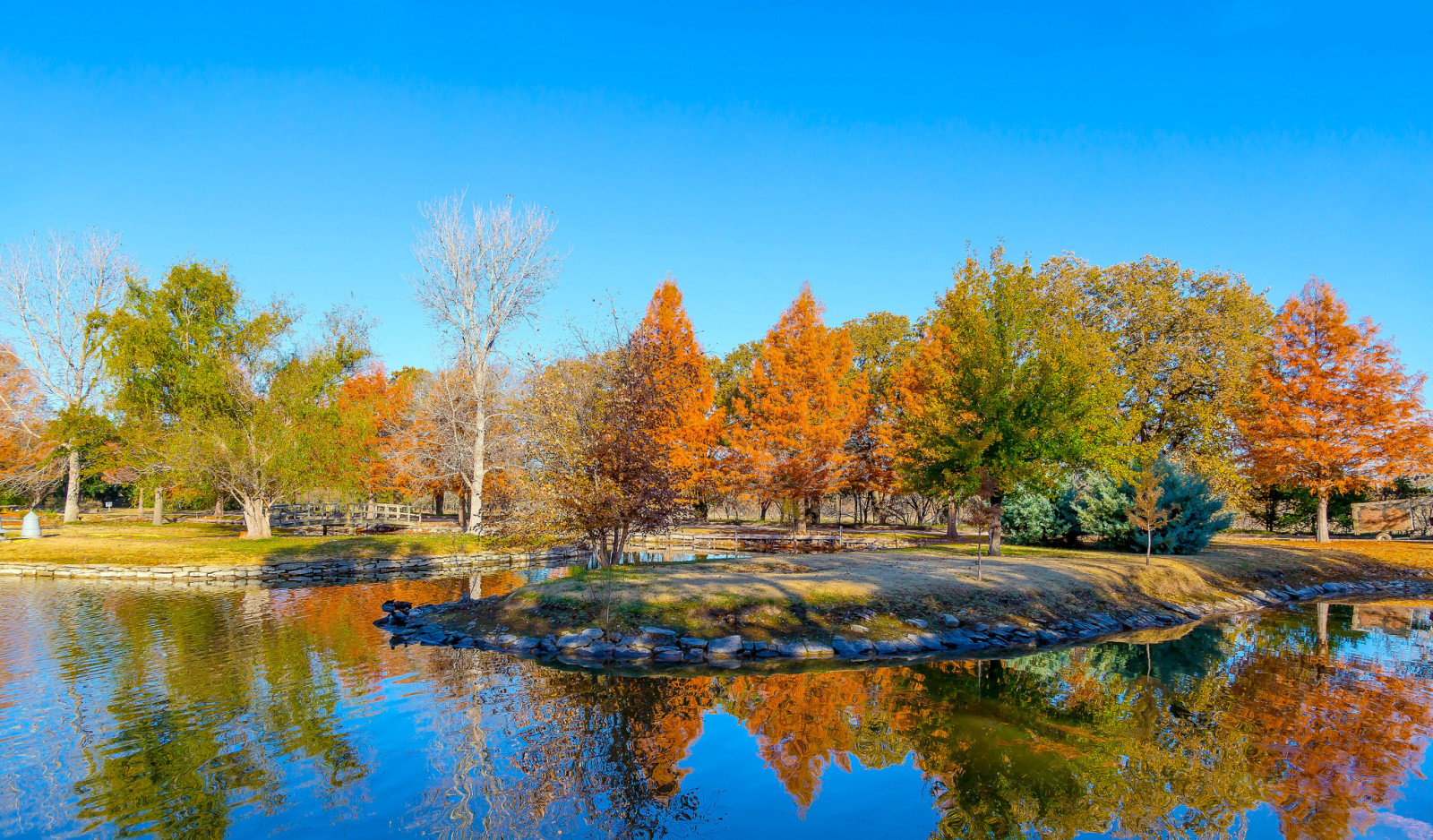 树木, 树叶, 美国, 池塘, 德州, 克拉克花园, 深红色的秋天