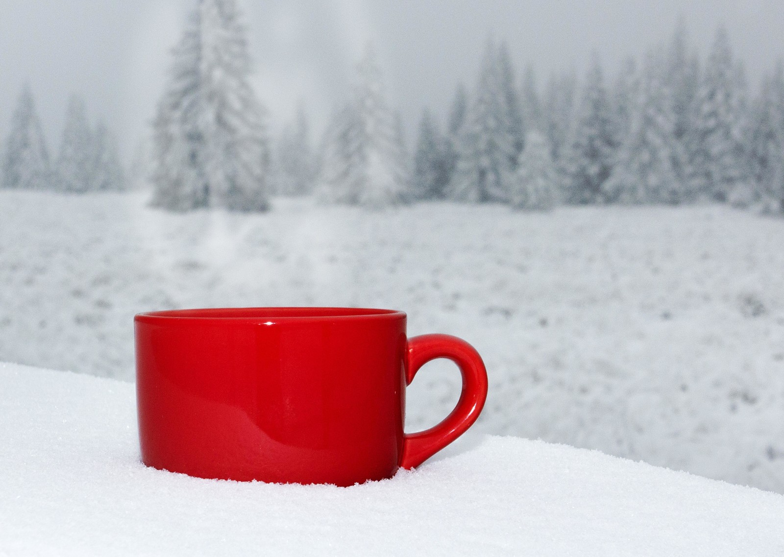 salju, alam, musim dingin, pemandangan, kopi, Cangkir