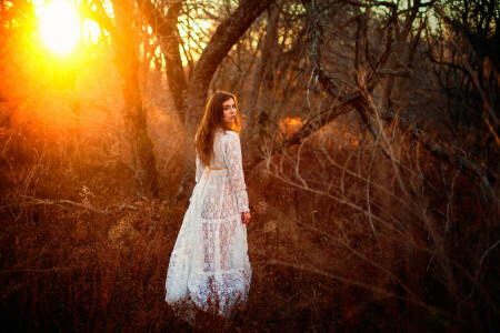 ドレス, 森林, 女の子, 太陽