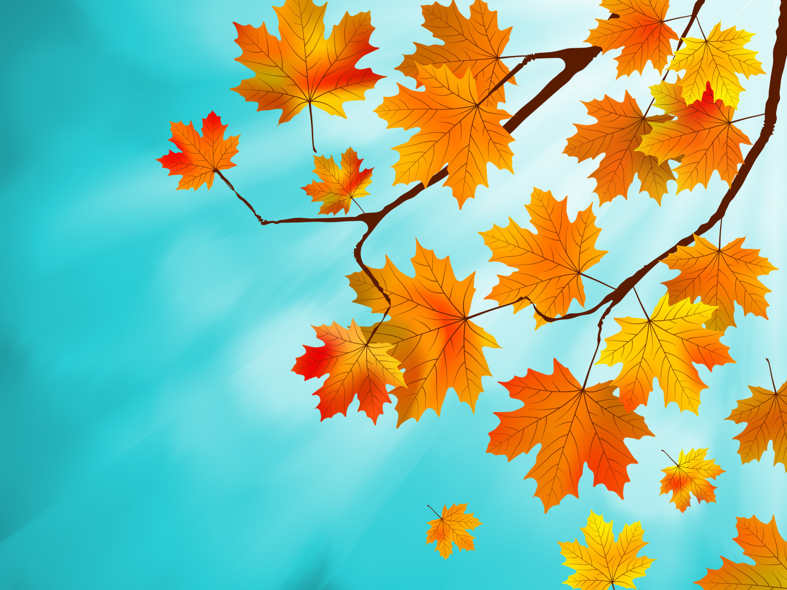 musim gugur, Latar Belakang, Daun-daun, maple