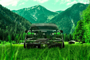 결정, 엘 토니 자동차, 진화, 잔디, 초록, 창기병, 산, 자연