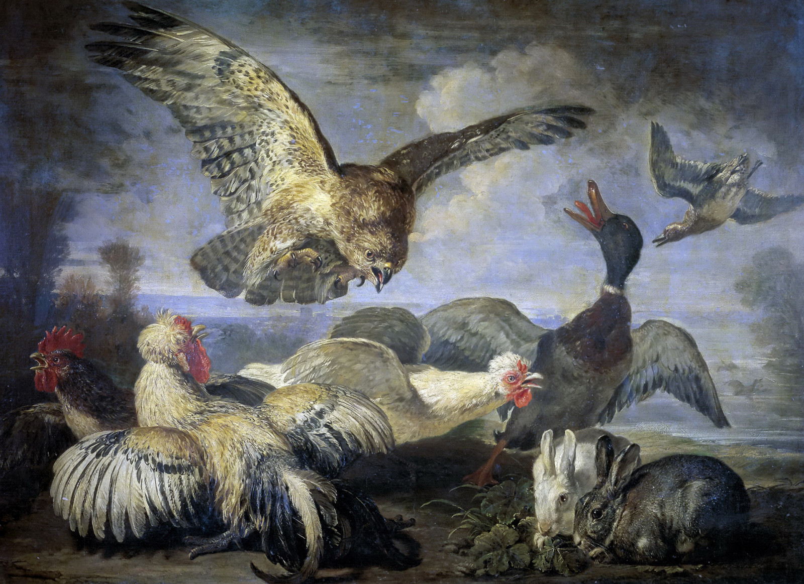 gambar, binatang, burung-burung, kelinci, bebek, ayam, David Koninck