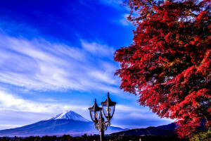 富士, 日本, 灯笼, 山, 天空, 树