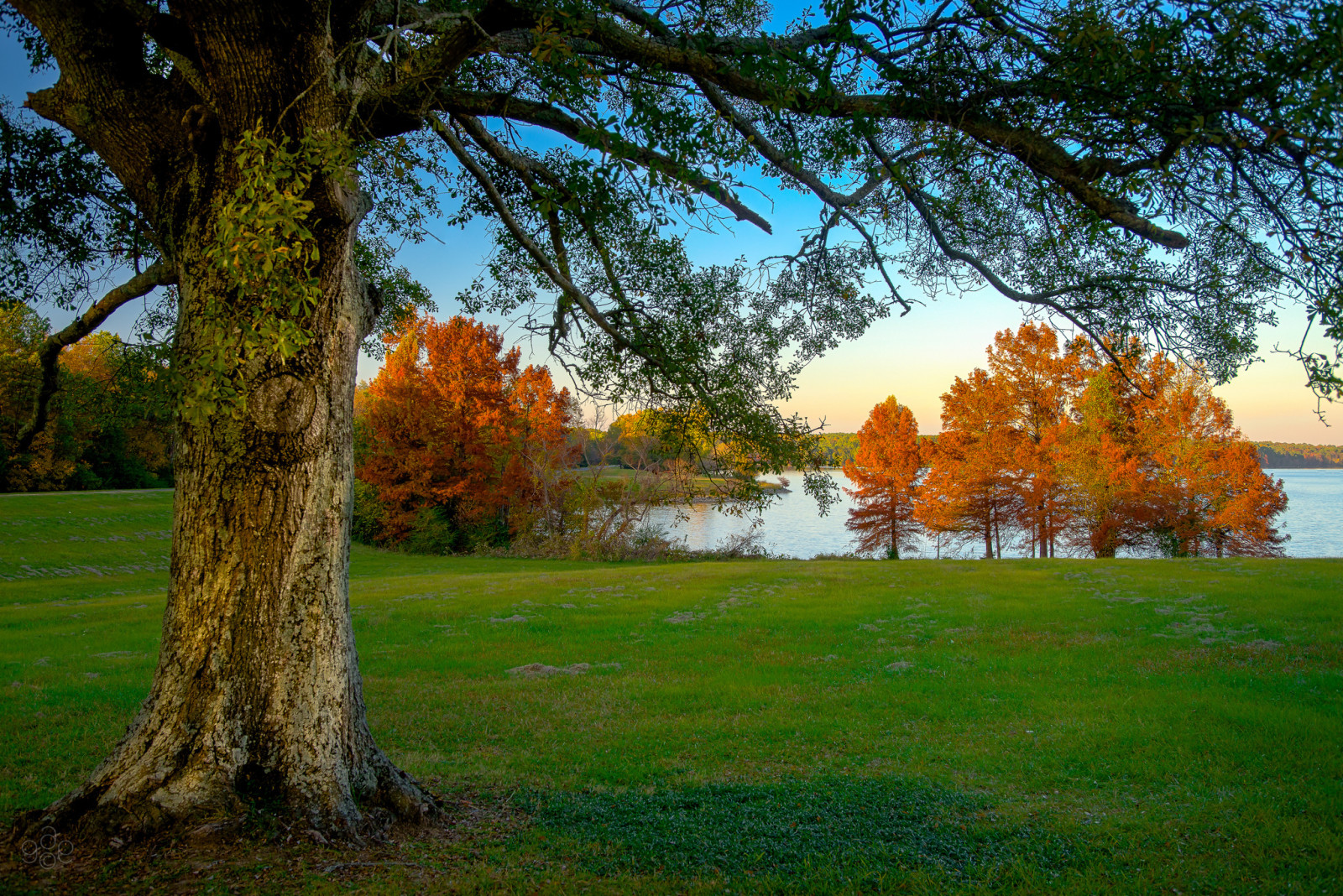 가을, 잔디, 하늘, 호수, 나무