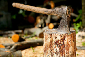 斧, 金属, トランク, 木材